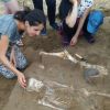 Археологические раскопки под Армавиром
