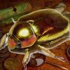 Золотой жук: правдивая история о том, как были найдены сокровища